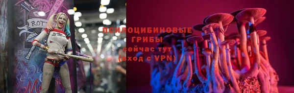 МДПВ Гусиноозёрск