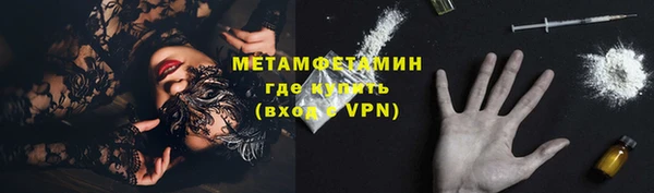 трава Гусь-Хрустальный