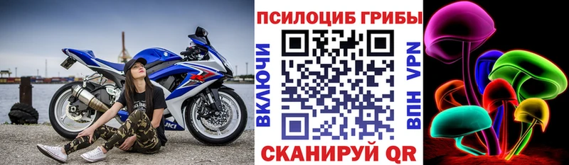 Псилоцибиновые грибы мухоморы  Нязепетровск 